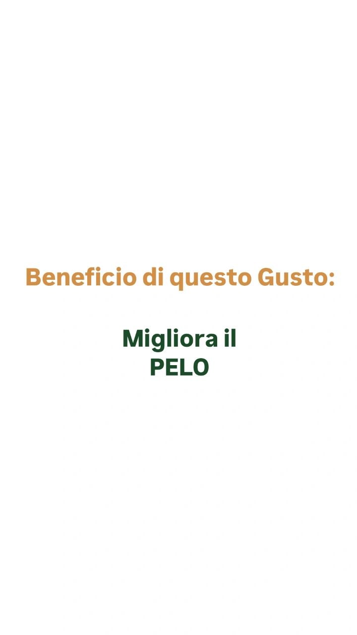Gelato per Cani e Gatti - Cocco & Riso