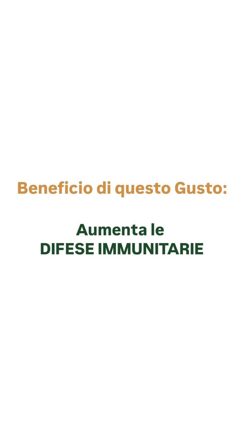 Gelato per Cani e Gatti - Ananas & Ginseng